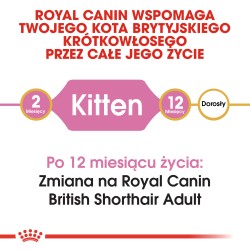 ROYAL CANIN British Shorthair Kitten karma sucha dla kociąt, do 12 miesiąca, rasy brytyjski krótkowłosy 2x 10 kg
