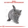 ROYAL CANIN British Shorthair Kitten karma sucha dla kociąt, do 12 miesiąca, rasy brytyjski krótkowłosy 2x 10 kg