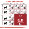 ROYAL CANIN FIT 32 karma sucha dla kotów dorosłych, wspierająca idealną kondycję 2x 10 kg