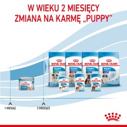 ROYAL CANIN Starter Mother and Babydog Mousse karma mokra - mus dla suk w ciąży i laktacji oraz szczeniąt do 2 miesiąca życia 12