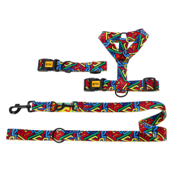 DINGO Szelki Guard z kolorowej taśmy City Graffity L