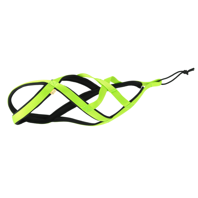 DINGO Szelki typu Sled do biegania z psem - zielony S