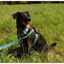 DINGO Smycz przepinana City Monstera 2,0 x 220 cm