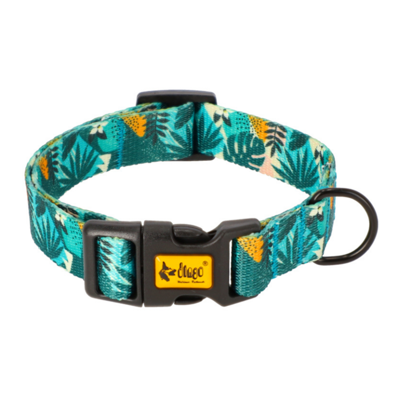 DINGO Obroża regulowana City Monstera 2,0 x 45 cm