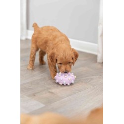 TRIXIE Mini koło Junior 8 cm