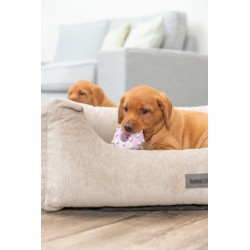 TRIXIE Mini koło Junior 8 cm