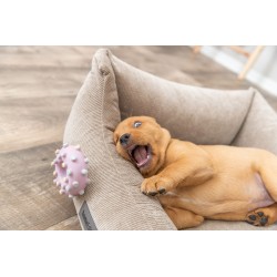 TRIXIE Mini koło Junior 8 cm