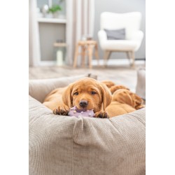 TRIXIE Mini koło Junior 8 cm