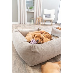 TRIXIE Mini koło Junior 8 cm