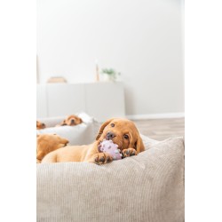 TRIXIE Mini koło Junior 8 cm