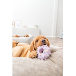 TRIXIE Mini koło Junior 8 cm