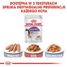ROYAL CANIN Sterilised Gravy karma mokra w sosie dla kotów dorosłych, sterylizowanych 48x 85g