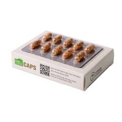 AQUA ART Planta Gainer Caps 10 kapsułek (blister w pudełku)