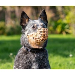 BASKERVILLE Anti Scavenge Classic beżowy - kaganiec dla ras o dłuższym pysku 5