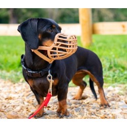 BASKERVILLE Anti Scavenge Classic beżowy - kaganiec dla ras o dłuższym pysku 6