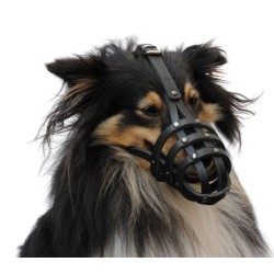 DINGO Skórzany kaganiec dla psa rasy: Collie – nitowany Collie - mały