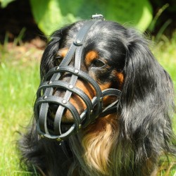 DINGO Skórzany kaganiec dla psa rasy: Jamnik – nitowany