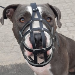 DINGO Skórzany kaganiec dla psa rasy: Dog – nitowany