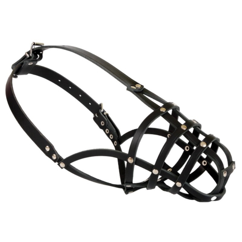 DINGO Skórzany kaganiec dla psa rasy: Dog – nitowany