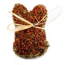 HAM-STAKE Delicja ze skrzypem i owocem maliny 45 g