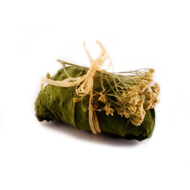 HAM-STAKE Gołąbek Topinamburowy