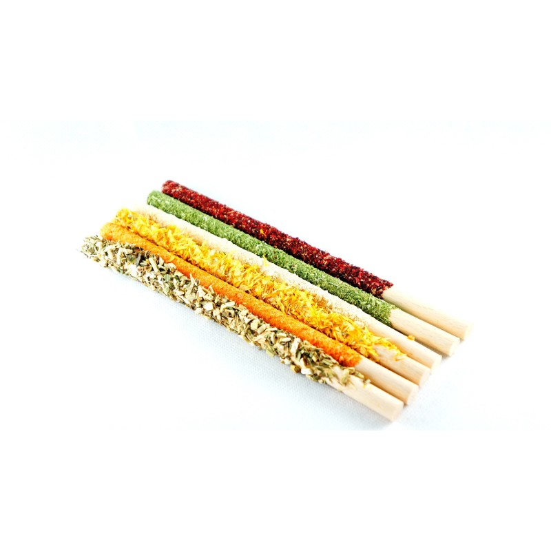 HAM-STAKE Gryzaki kwiatowo-ziołowo-warzywne