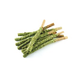 HAM-STAKE Młode pędy leszczyny z pietruszką 50g