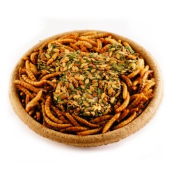 HAM-STAKE Proteinowy smakołyk z larwami mącznika i lnem