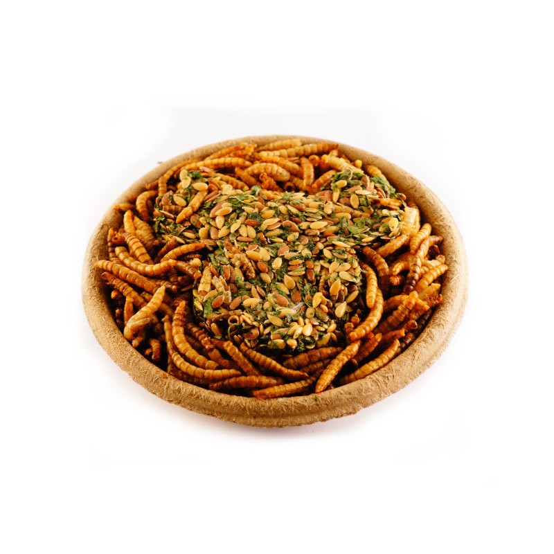 HAM-STAKE Proteinowy smakołyk z larwami mącznika i lnem