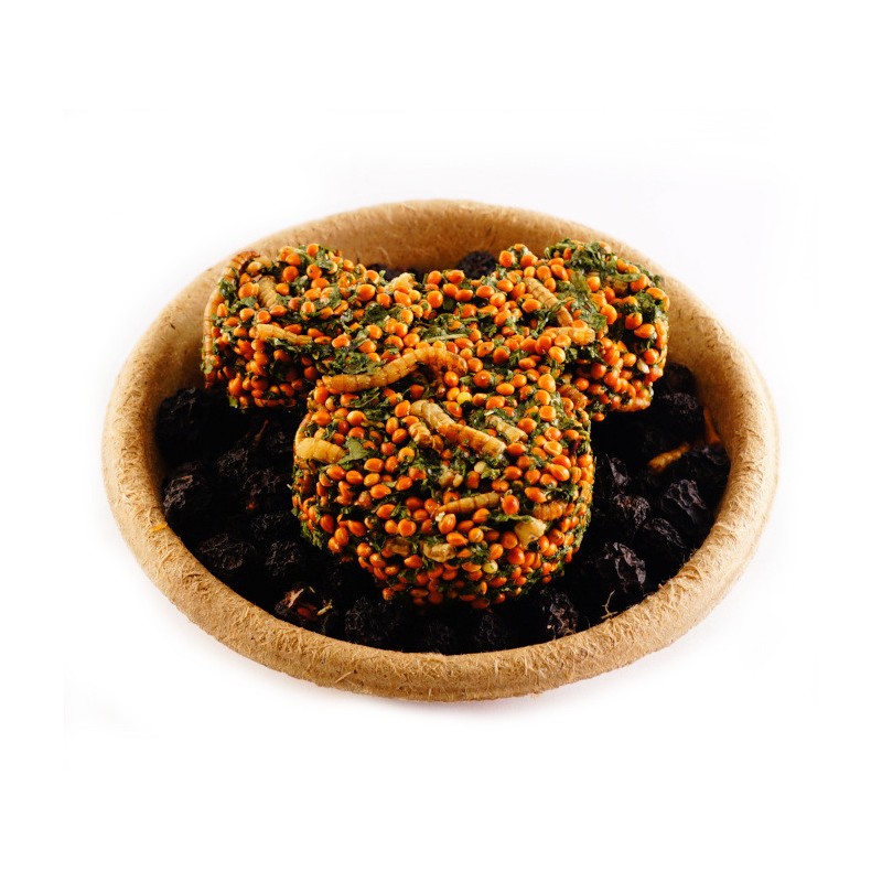 HAM-STAKE Proteinowy smakołyk z larwami mącznika prosem i owocami