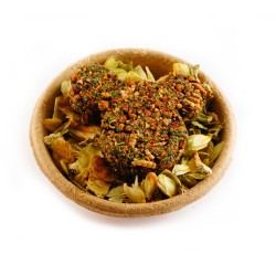 HAM-STAKE Proteinowy smakołyk z larwami mącznika, owocem głogu i brokułem