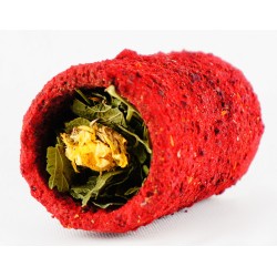 HAM-STAKE Tunelik buraczany z warzywami i porzeczką (5 x 10 cm)