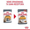 ROYAL CANIN Hair & Skin Care karma mokra, plasterki w sosie dla kotów dorosłych, lśniąca sierść i zdrowa skóra 12x 85g
