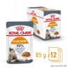 ROYAL CANIN Hair & Skin Care karma mokra, plasterki w sosie dla kotów dorosłych, lśniąca sierść i zdrowa skóra 12x 85g