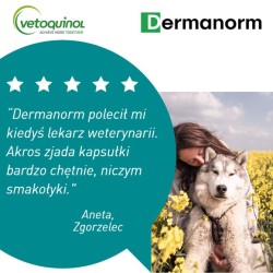 VETOQUINOL Dermanorm 90 kapsułek PROMO Krótki termin