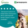 VETOQUINOL Dermanorm 90 kapsułek PROMO Krótki termin