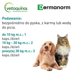 VETOQUINOL Dermanorm 90 kapsułek PROMO Krótki termin