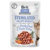 BRIT CARE CAT Fillets in jelly Sterilized Duck and Turkey 85g (saszetka)