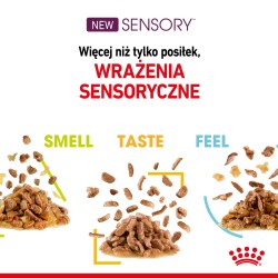 ROYAL CANIN Sensory Smell karma mokra - kawałki w sosie dla kotów dorosłych, pobudzająca wrażenia węchowe 85g