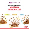 ROYAL CANIN Sensory Smell karma mokra - kawałki w sosie dla kotów dorosłych, pobudzająca wrażenia węchowe 85g