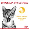ROYAL CANIN Sensory Taste karma mokra - kawałki w sosie dla kotów dorosłych - pobudzająca wrażenia smakowe 85g