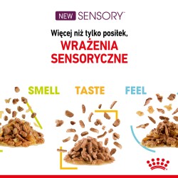 ROYAL CANIN Sensory Taste karma mokra - kawałki w sosie dla kotów dorosłych - pobudzająca wrażenia smakowe 85g