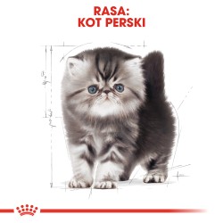 ROYAL CANIN Persian Kitten karma sucha dla kociąt do 12 miesiąca życia, rasy perskiej 400g