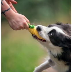 DINGO Zabawka pluszowa - Ananas 19 cm