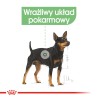 ROYAL CANIN CCN Digestive Care karma mokra - pasztet dla psów dorosłych o wrażliwym przewodzie pokarmowym 85g