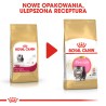 ROYAL CANIN Persian Kitten karma sucha dla kociąt do 12 miesiąca życia, rasy perskiej 10 kg