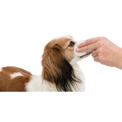 TRIXIE Eye Care Czyste oczy - chusteczki 100 szt.