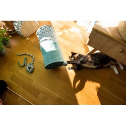 ZOLUX Zabawka dla kota ETHICAT tunel z zabawką - liście