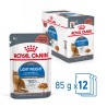 ROYAL CANIN Light Weight Care karma mokra w sosie dla kotów dorosłych, z tendencją do nadwagi 48x 85g
