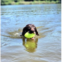 DINGO Piłka świecąca Play and Glow (8 x 14 cm)